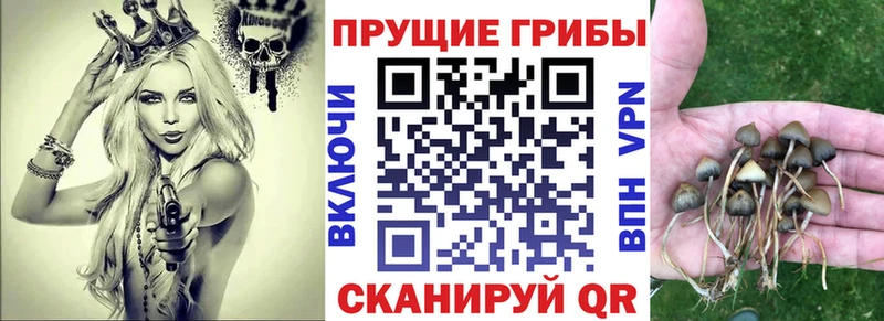 Галлюциногенные грибы MAGIC MUSHROOMS  Всеволожск 