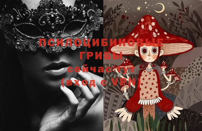 наркота  Всеволожск  ссылка на мегу как зайти  Галлюциногенные грибы MAGIC MUSHROOMS 