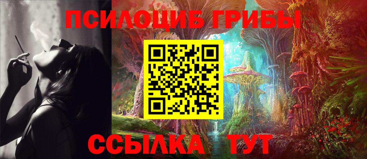 Галлюциногенные грибы Cubensis Всеволожск