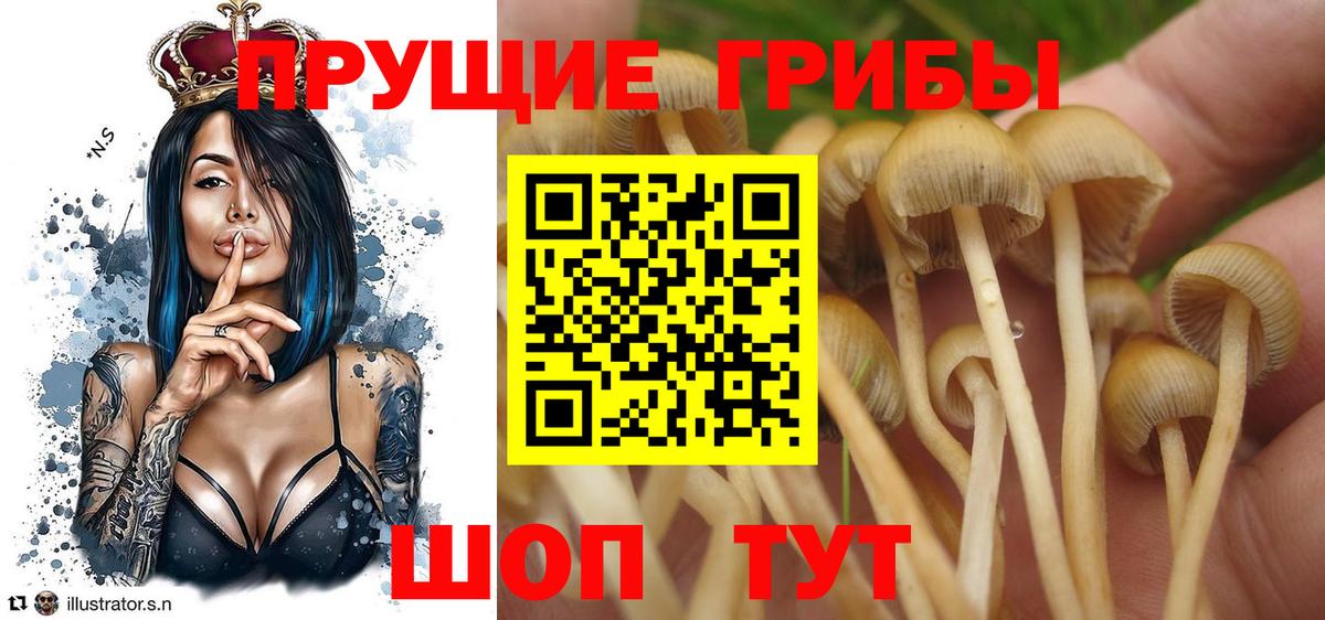 Псилоцибиновые грибы Magic Shrooms Всеволожск