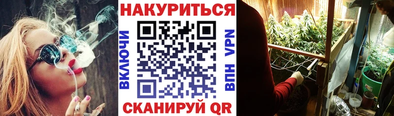 МАРИХУАНА OG Kush где купить наркотик Всеволожск
